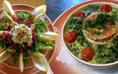 Die brennNessel in Dresden: Ein lohnenswertes vegetarisches Restaurant